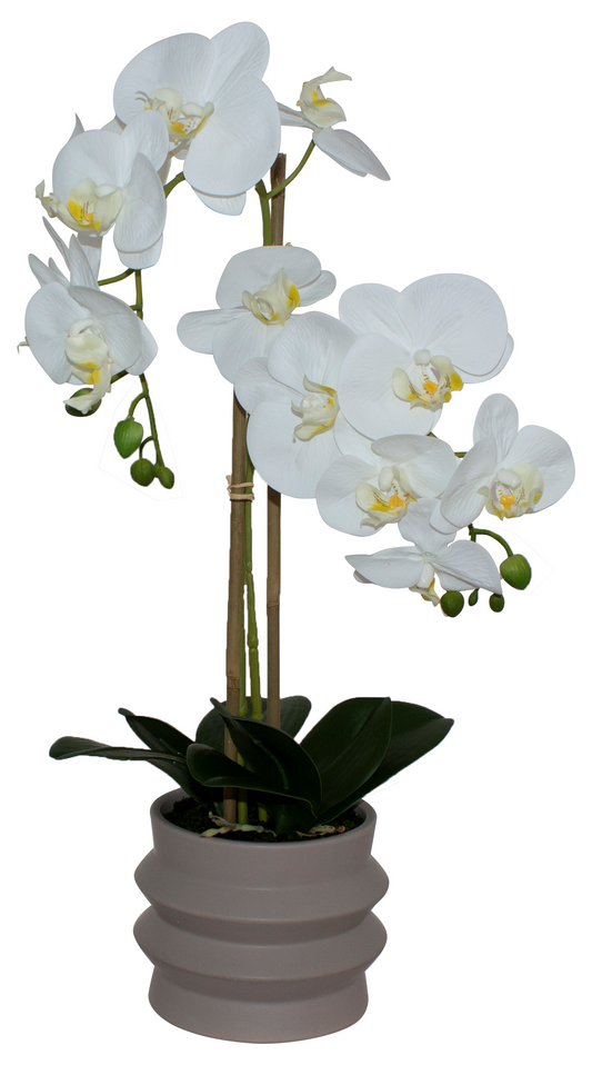 WHITE REAL ORCHID RIPPLE POT 58CM