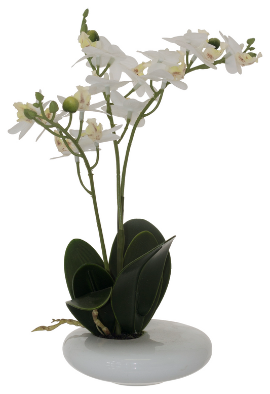 WHITE REAL TOUCH ORCHID 30CM