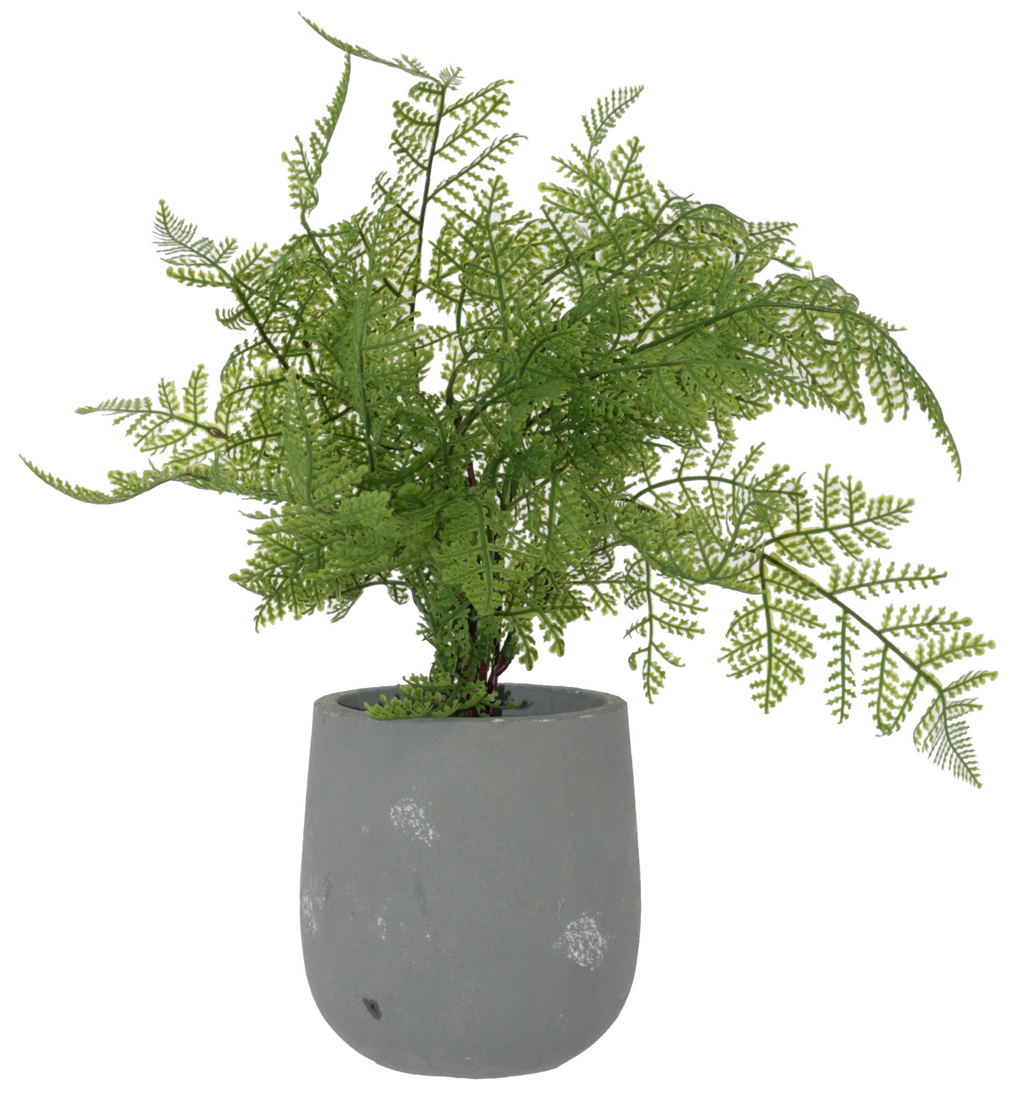 FERN POTTED PLANT 40CM