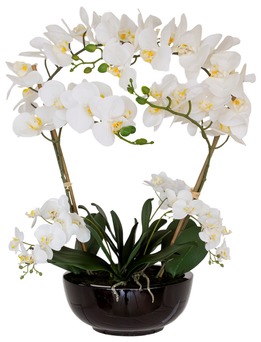 WHITE REAL TOUCH ORCHID 64CM
